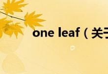 one leaf（關于one leaf的介紹）