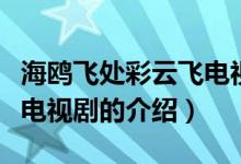 海鷗飛處彩云飛電視?。P(guān)于海鷗飛處彩云飛電視劇的介紹）