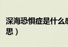 深?？謶职Y是什么感覺(jué)（深?？謶职Y是什么意思）