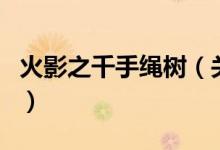 火影之千手繩樹（關于火影之千手繩樹的介紹）