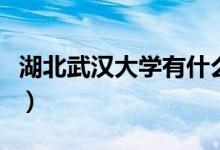 湖北武漢大學有什么專業(yè)（院校開設專業(yè)一覽）