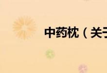 中藥枕（關于中藥枕的介紹）