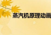 蒸汽機(jī)原理動(dòng)畫視頻（蒸汽機(jī)原理）
