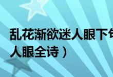 亂花漸欲迷人眼下句是什么意思(亂花漸欲迷人眼全詩(shī))