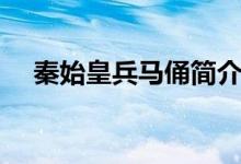 秦始皇兵馬俑簡介（秦始皇兵馬俑簡介）