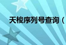 天梭序列號(hào)查詢(xún)（天梭序列號(hào)查詢(xún)網(wǎng)址）