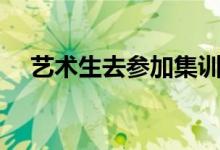 藝術生去參加集訓（文化課怎么復習呢）