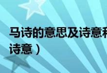 馬詩(shī)的意思及詩(shī)意和中心思想（馬詩(shī)的意思及詩(shī)意）