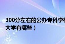 300分左右的公辦?？茖W(xué)校（2022年300分左右的公辦?？拼髮W(xué)有哪些）