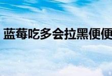 藍(lán)莓吃多會拉黑便便嗎（藍(lán)莓吃多會上火嗎）