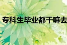 ?？粕厴I(yè)都干嘛去了（最好的出路是什么）