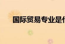 國(guó)際貿(mào)易專(zhuān)業(yè)是什么（能做什么工作）
