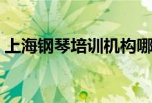 上海鋼琴培訓機構(gòu)哪家好(怎么選擇培訓班)