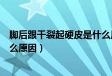 腳后跟干裂起硬皮是什么原因呢（腳后跟干裂、起硬皮是什么原因）