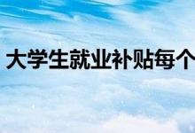 大學(xué)生就業(yè)補(bǔ)貼每個人都有嗎(都能領(lǐng)到嗎)