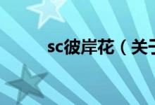 sc彼岸花（關于sc彼岸花的介紹）