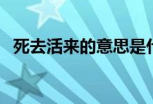 死去活來(lái)的意思是什么（死去活來(lái)的意思）