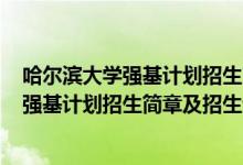 哈爾濱大學(xué)強基計劃招生簡章2021（哈爾濱工業(yè)大學(xué)2022強基計劃招生簡章及招生計劃）