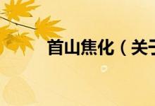 首山焦化（關于首山焦化的介紹）