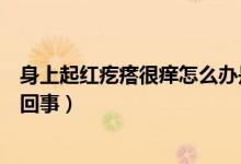 身上起紅疙瘩很癢怎么辦是什么?。ㄉ砩掀鸺t疙瘩很癢怎么回事）