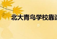 北大青鳥學(xué)?？孔V嗎（學(xué)出來有用嗎）