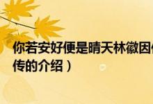 你若安好便是晴天林徽因傳（關于你若安好便是晴天林徽因傳的介紹）