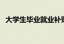 大學(xué)生畢業(yè)就業(yè)補(bǔ)貼怎么申請（如何申請）